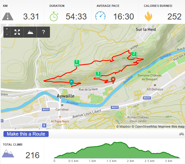Hike tracking app screenshot showing a 3.31 km route near Aywaille with stats and an elevation profile totaling 216 m of climb
